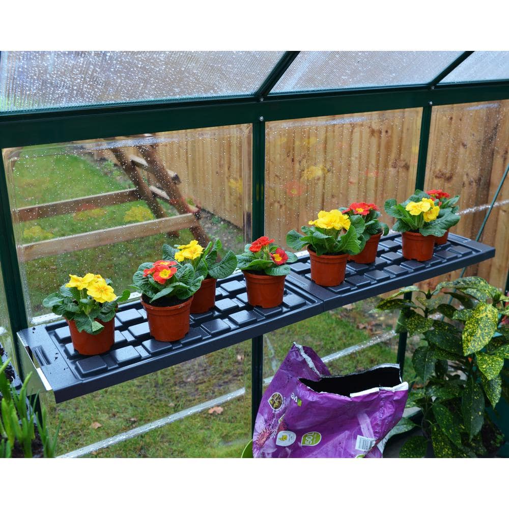 Greenhouse Plastic Shelf- 4 Units - Hercitys