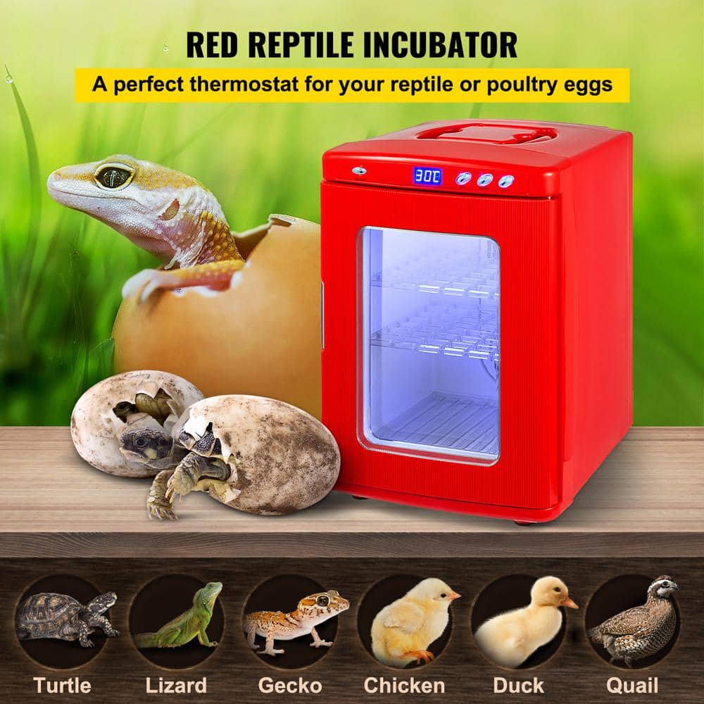 Red Reptile Incubator 25L Scientific Lab Incubator Digital Incubator 41-140°F Cooling and Heating 12V/110V - Hercitys