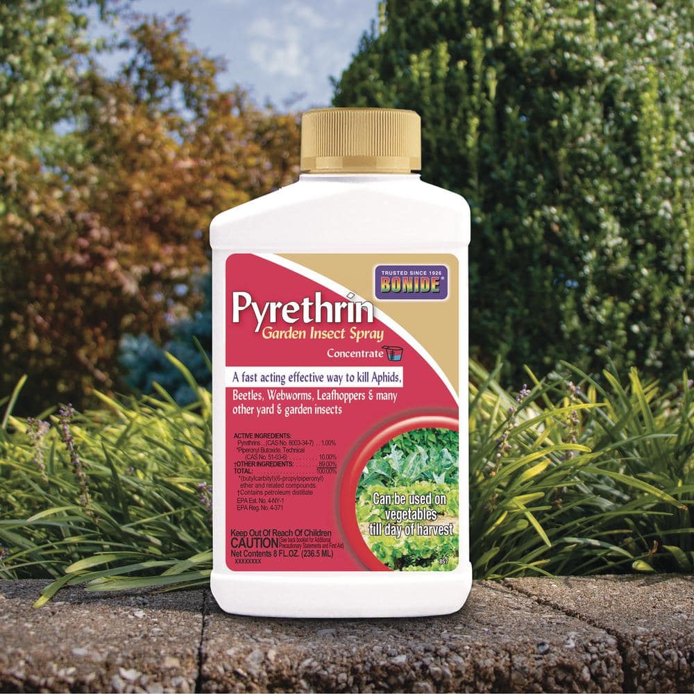 Pyrethrin Garden Insect Spray Concentrate, 8 oz. Ready-to-Mix Fast Acting Insecticide for Outdoor Garden Use - Hercitys