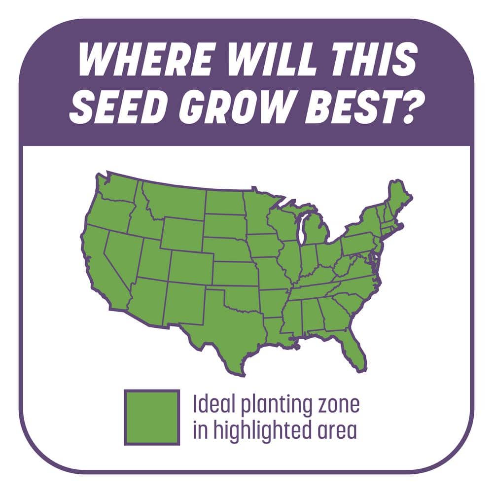 Smart Patch Dense Shade 10 lb. 200 sq. ft. Grass Seed Bare Spot Repair with Mulch and Fertilizer - Hercitys