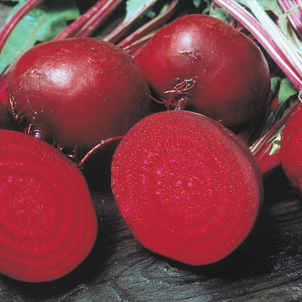 Beet Perfected Detroit 15 ft. Seed Tape - Hercitys