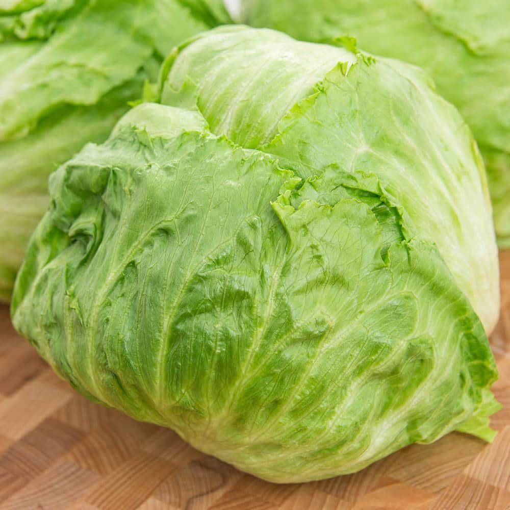 Ithaca Head Lettuce Seed Tape, Includes 2 Seed Tapes Each 7.50 ft. L - Hercitys