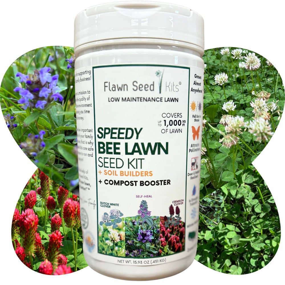 Speedy Bee Lawn Flower Seed, Easy Spread Shaker, Low Mnt, Pet, Kid, Eco-Friendly, Regenerative, Covers Up to 1,000 Sqft. - Hercitys