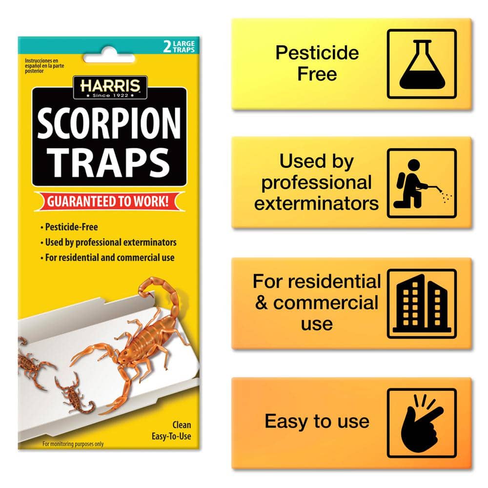 Scorpion Glue Trap (5-Pack) - Hercitys