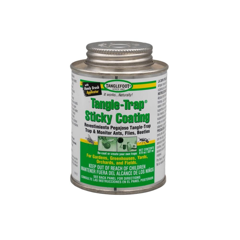Tangle-Trap Sticky Coating 8 oz. Brush-Top-Trap and Monitor Ants, Flies, and Beetles - Hercitys