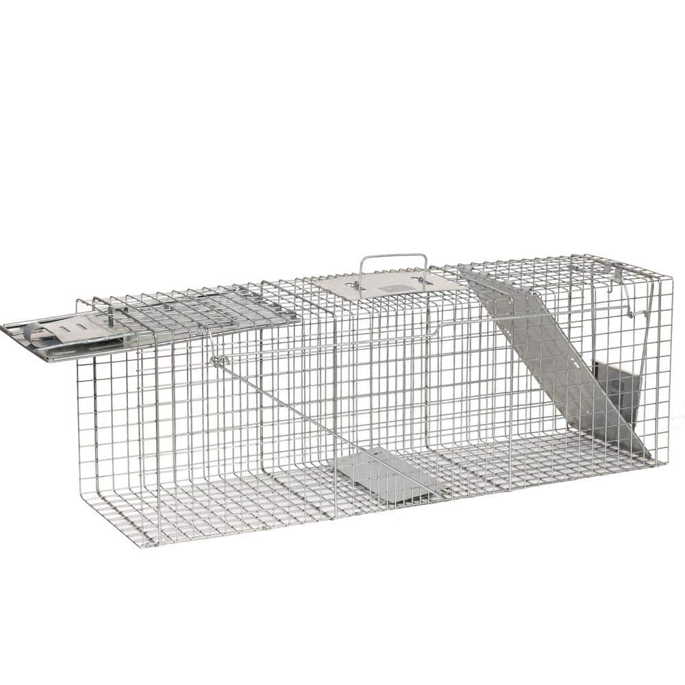 Large 2-Door Professional Humane Catch-and-Release Live Animal Cage Trap for Raccoon, Opossum, Groundhog, and Armadillo - Hercitys