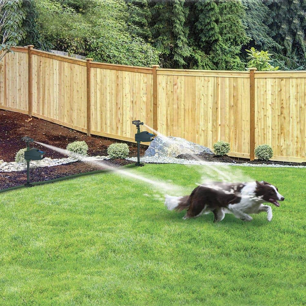 Hydro Critter Blaster Animal Sprinkler Repeller Scarecrow Motion Activated Solar Powered - Hercitys