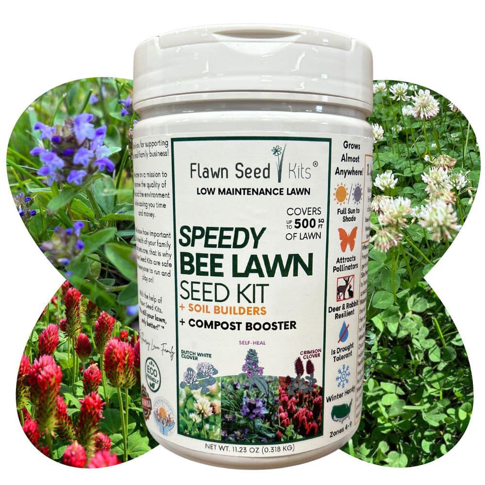 Speedy Bee Flower Lawn Seed, Easy Spread Shaker, Low Mnt, Pet, Kid, Eco-Friendly, Regenerative, Covers Up to 500 Sq. Ft. - Hercitys