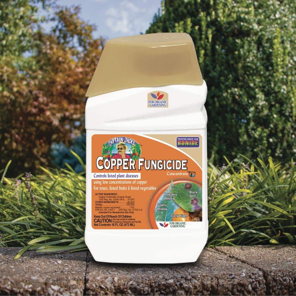 Captain Jack’s Copper Fungicide, 16 oz. Concentrate for Organic Gardening, Controls Common Diseases - Hercitys