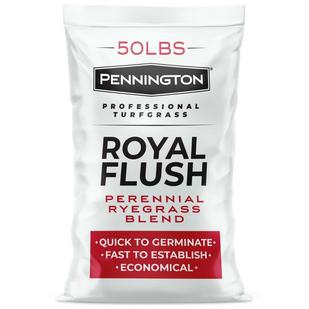 Royal Flush Overseeding Perennial Ryegrass Blend 50 lbs. 5,000 sq. ft. Grass Seed - Hercitys