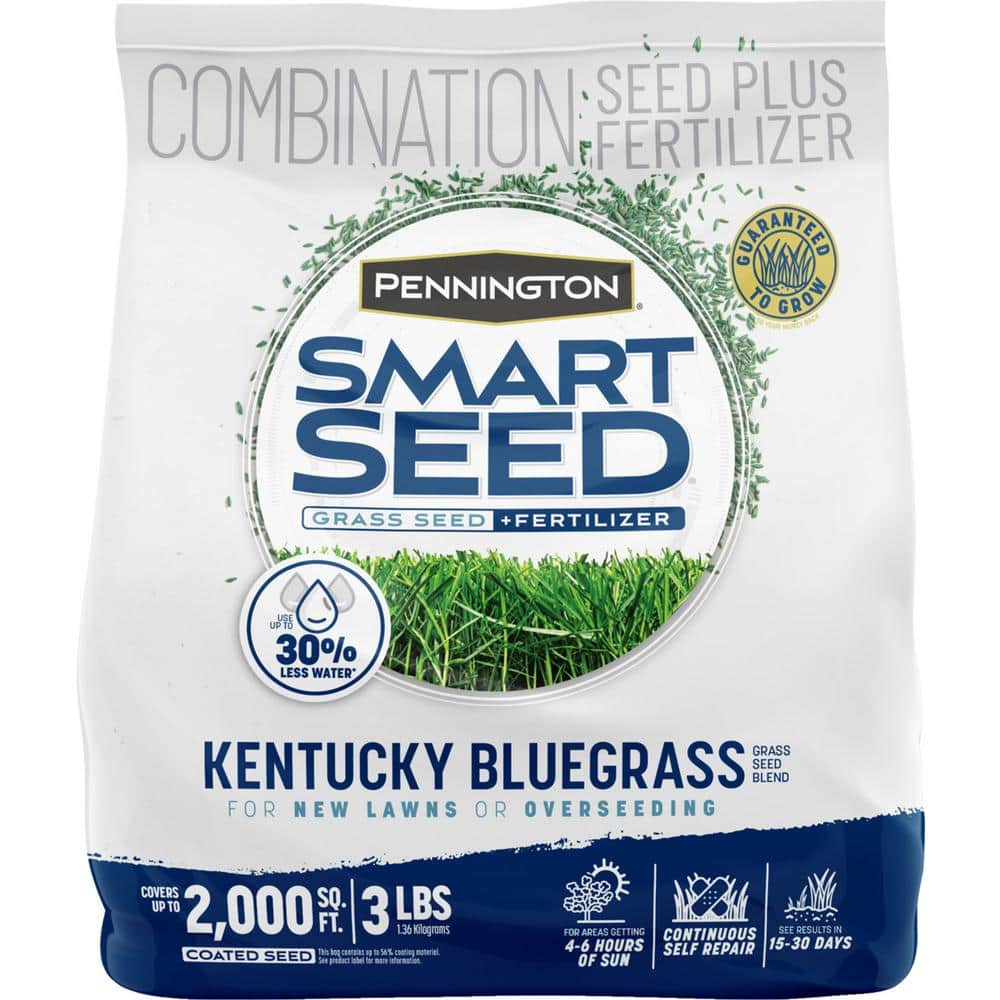 Smart Seed Kentucky Bluegrass 3 lb. 2,000 sq. ft. Grass Seed Blend - Hercitys
