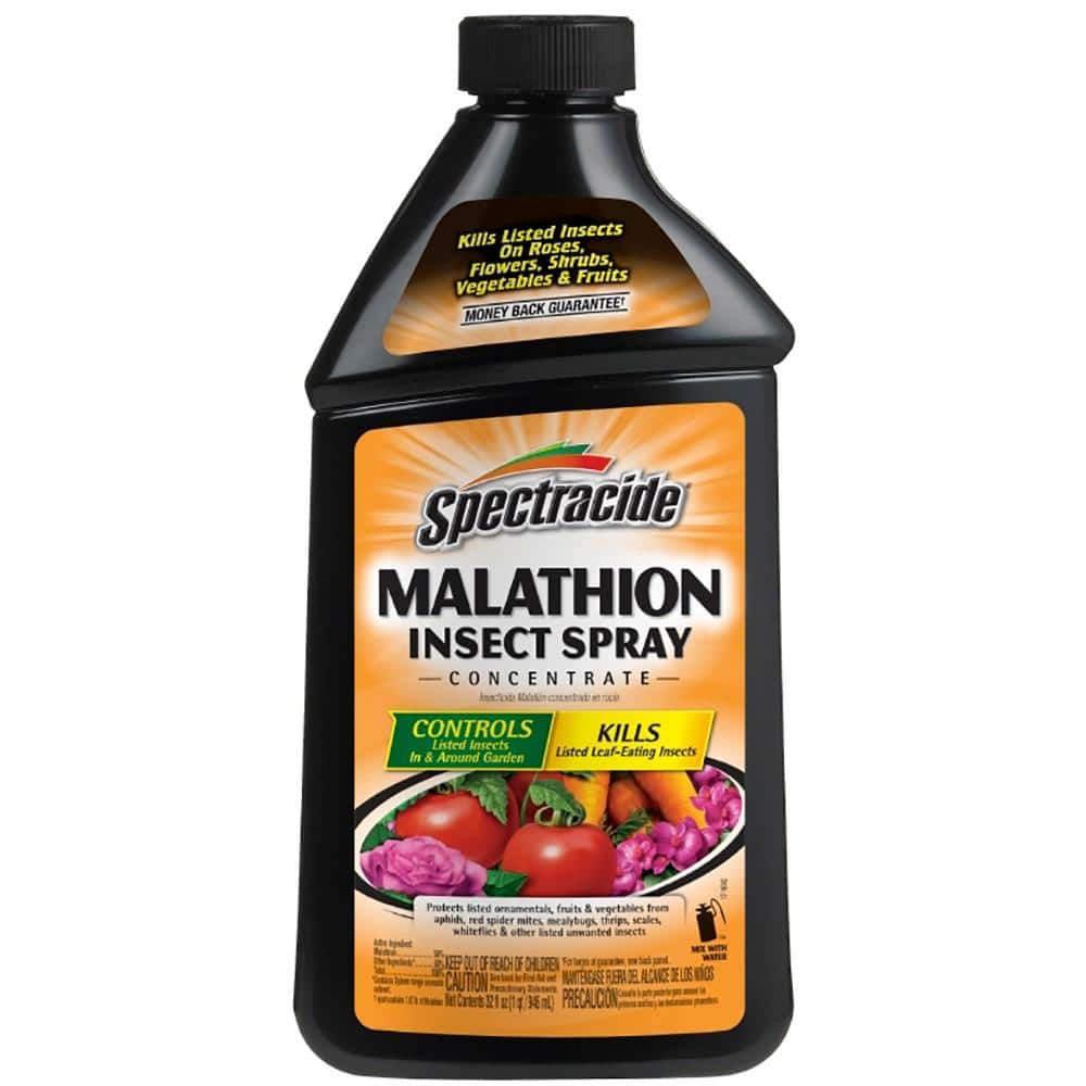 Malathion 32 fl oz Insect Spray Concentrate for Gardens - Hercitys