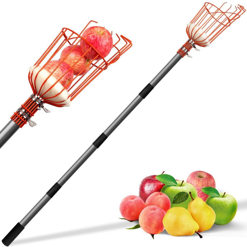 96 in. Stainless Steel Handle Fruit Picker - Hercitys