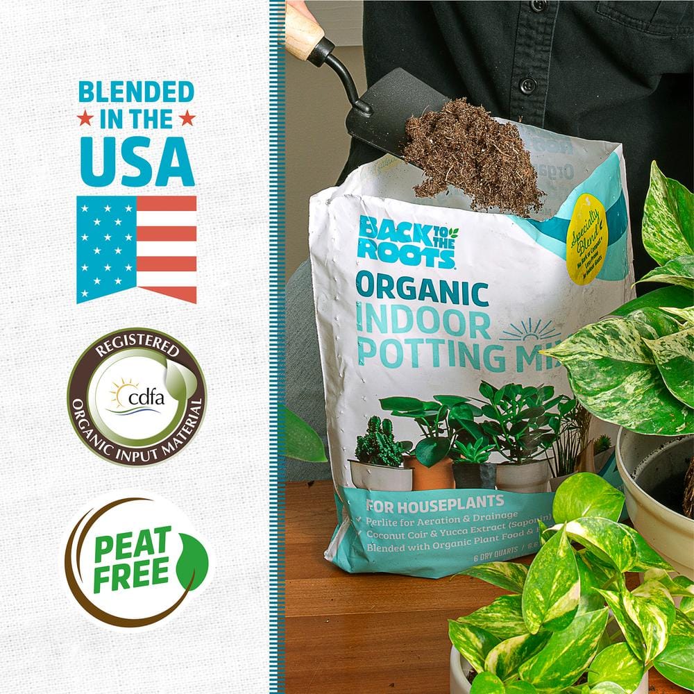 6 qt. Organic Indoor Potting Mix Soil (2-pack) - Hercitys