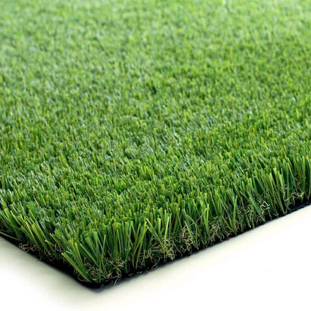 Natural Thick Realistic Deluxe 13 ft. W x Cut to Length Green Artificial Grass Turf - Hercitys