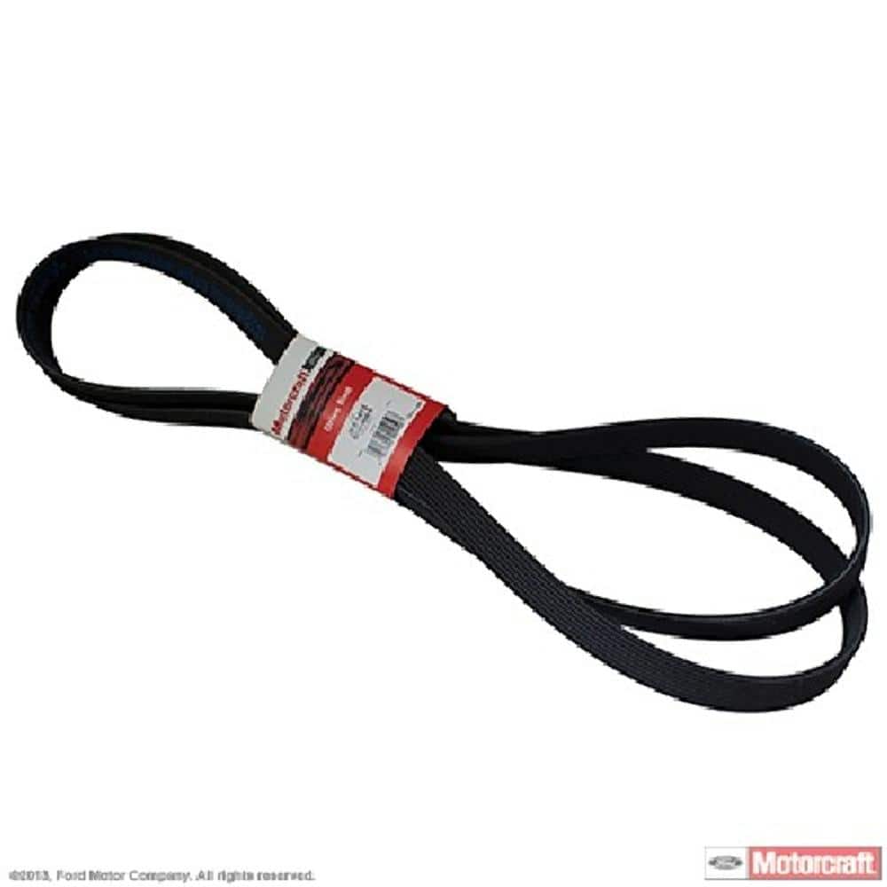 Serpentine Belt - Hercitys