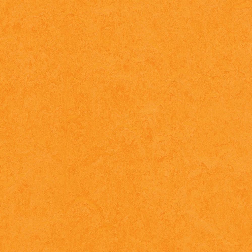 Cinch Loc Seal Marigold 9.8 mm T x 11.81 in. W x 11.81 in. L Waterproof Laminate Flooring (6.78 sq. ft. /Case) - Hercitys