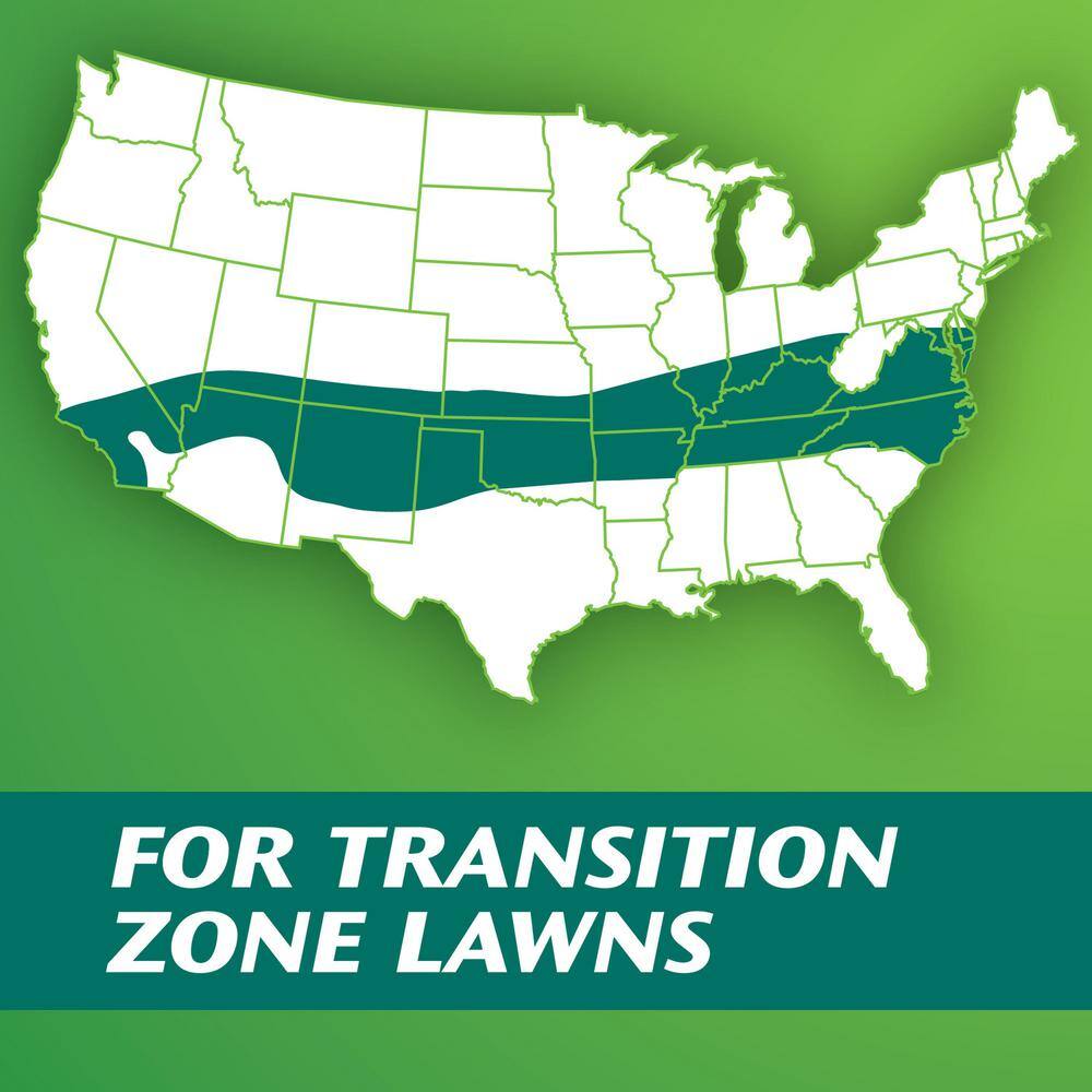 Turf Builder 7 lbs. Grass Seed Dense Shade Mix for Tall Fescue Lawns Grows With As Little As 3 Hours of Sunlight - Hercitys