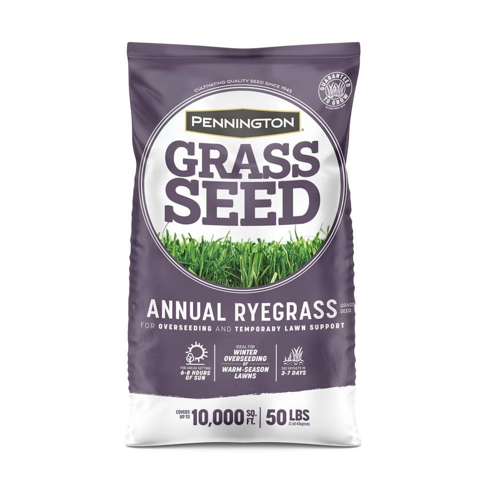 Annual Ryegrass 50 lbs. 10,000 sq. ft. Grass Seed - Hercitys