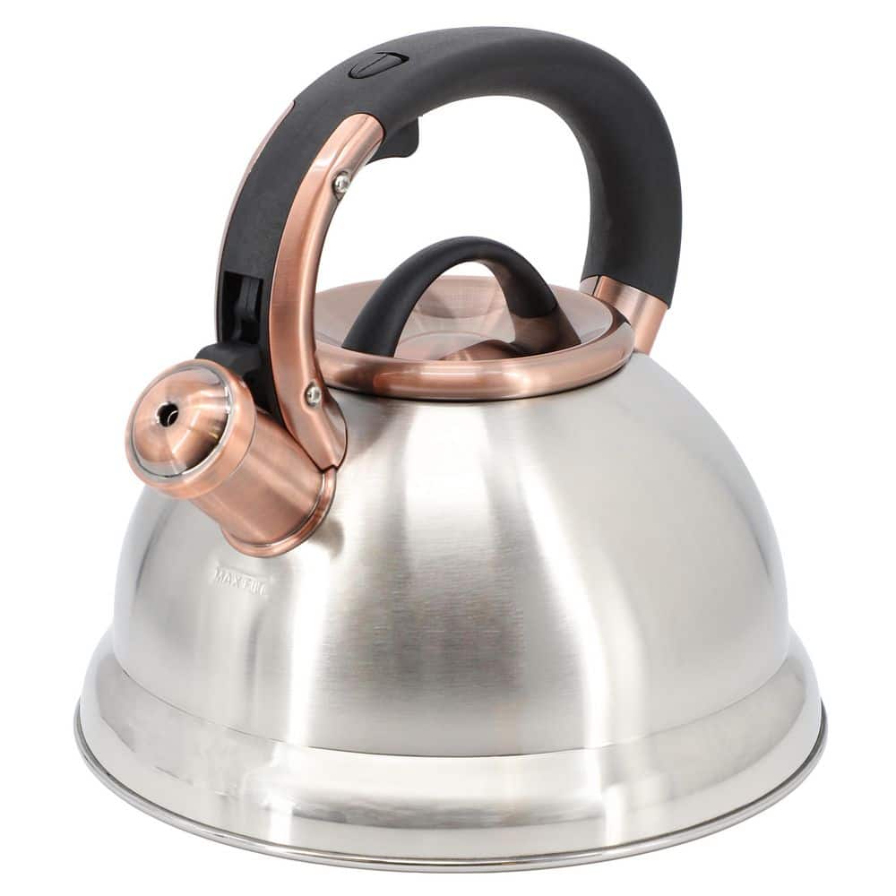 Mr. Coffee Flintshire 8 Cup Stainless Steel Whistling Tea Kettle in Silver - Hercitys