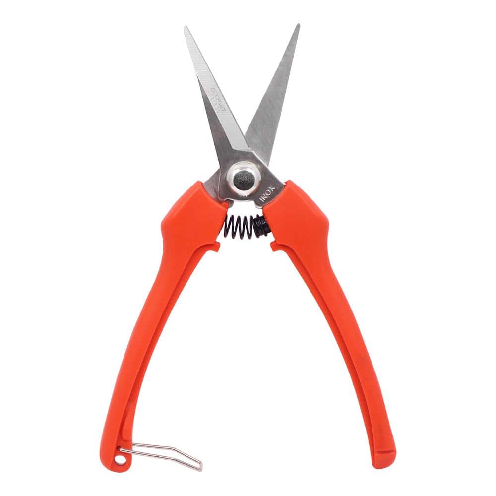 Euro Style Harvest Shear, Curved Stainless Steel Blade (Box of 3) - Hercitys