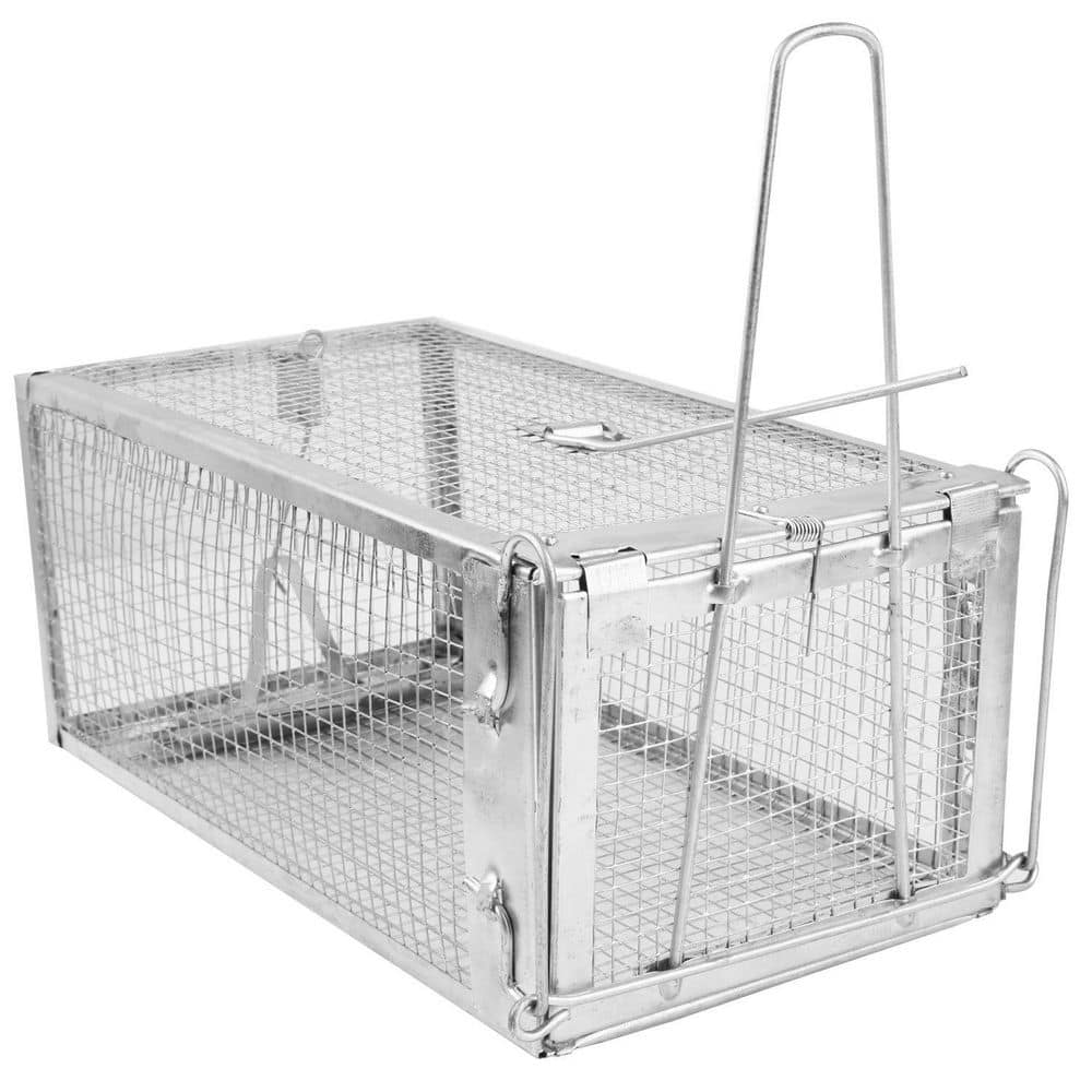 Rat Traps Humane Live Rodent Traps Cage Rats Control Bait Capture, (1-Package) - Hercitys