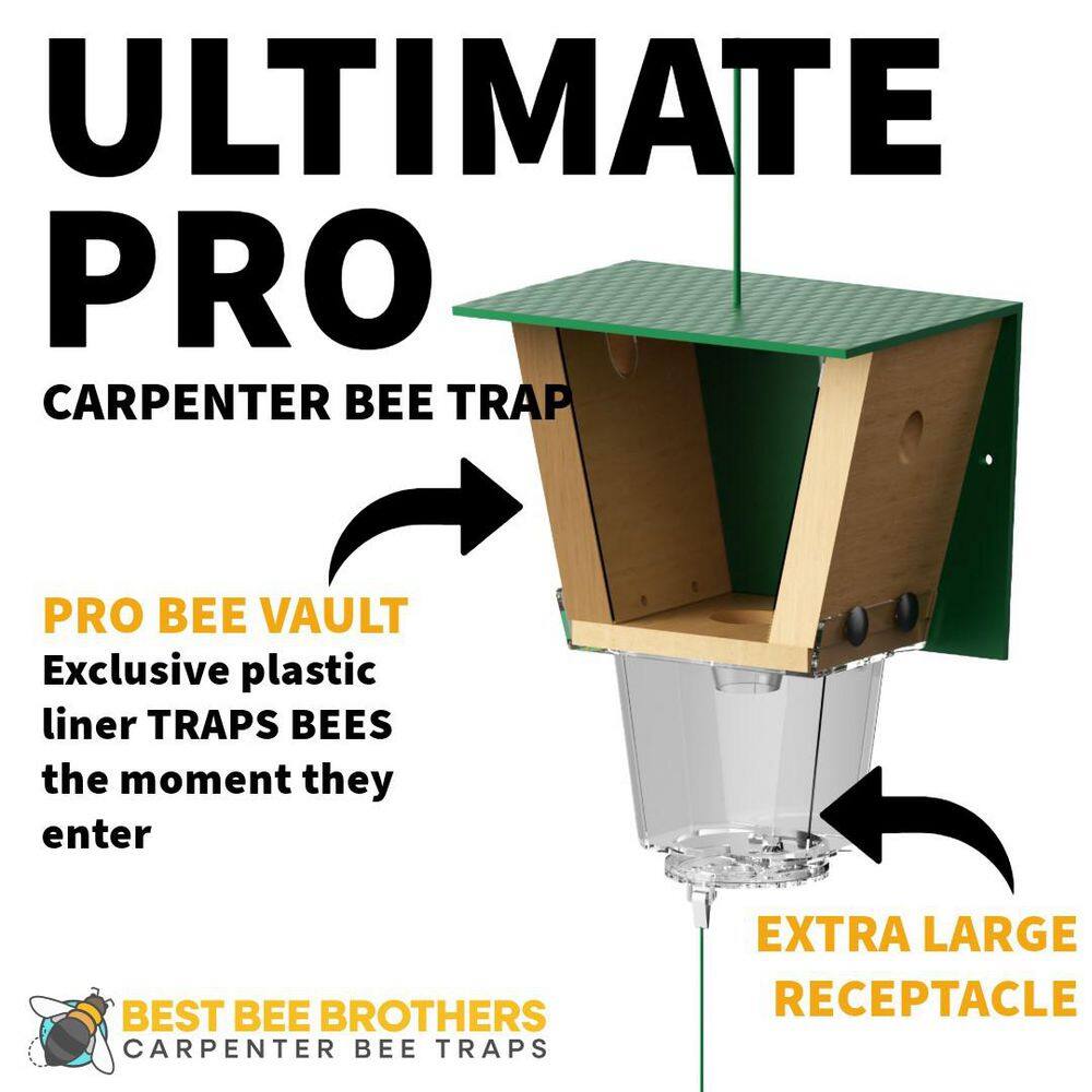 Ultimate Pro Carpenter Bee Trap with Bee Vault and Extra Large External Receptacle (4-Pack) - Hercitys