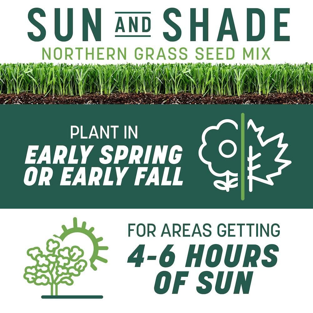 Smart Seed Sun and Shade North 3 lb. 750 sq. ft. Grass Seed and Lawn Fertilizer (2-Pack) - Hercitys