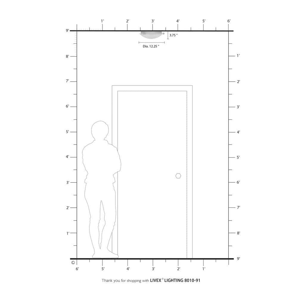 Oasis 2 Light Brushed Nickel Flush Mount - Hercitys