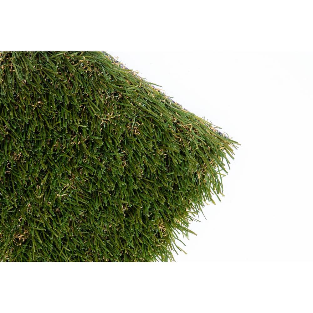 Bella 15 ft. Wide x Cut to Length Green Artificial Grass Carpet - Hercitys