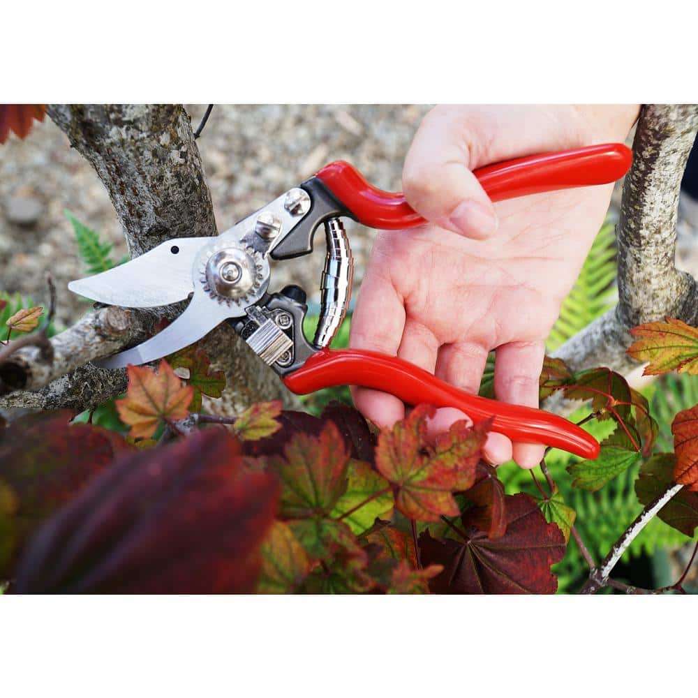 Heavy-Duty Forged By-Pass Pruner with Pin Bearing - Hercitys