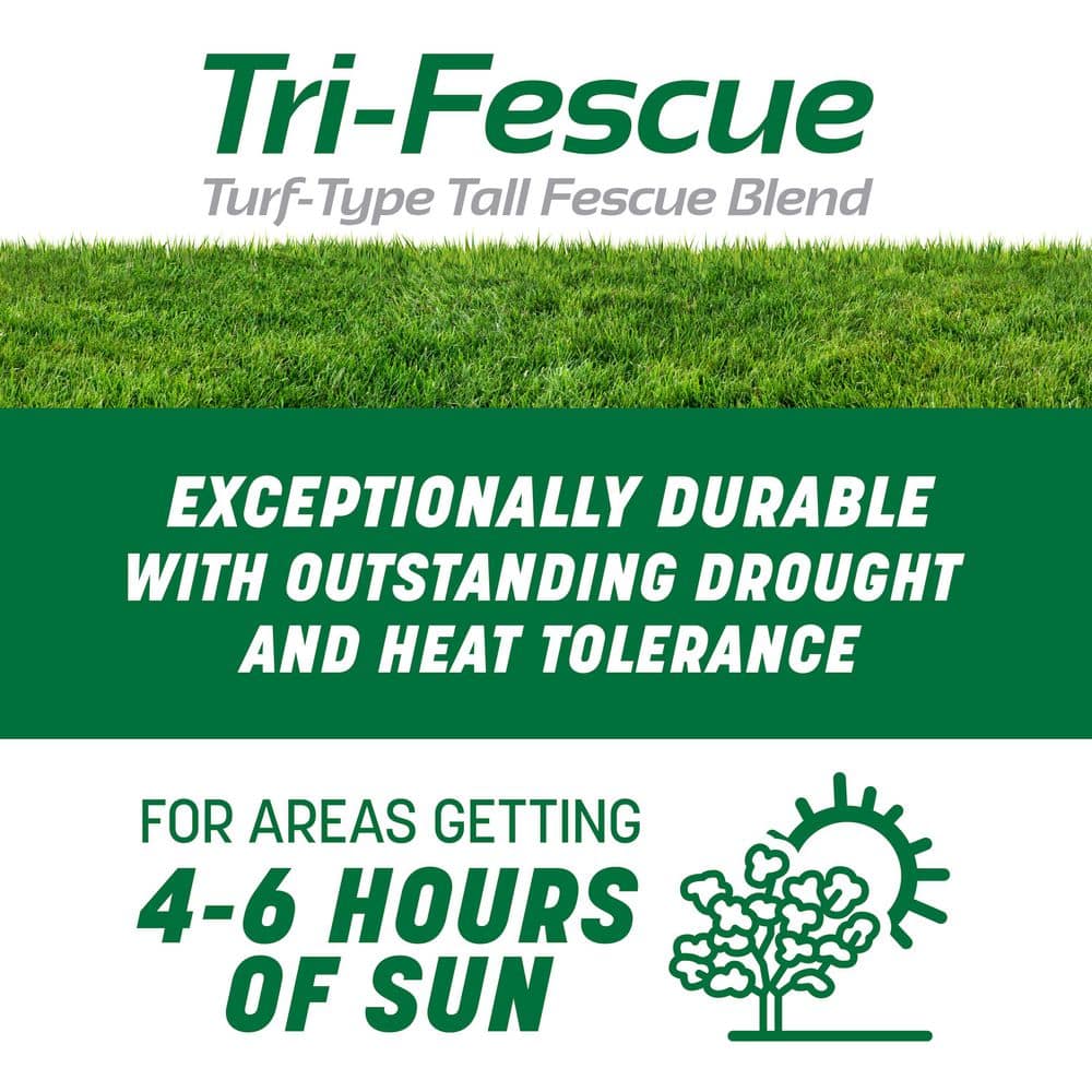 Smart Seed Professional Tri-Fescue Tall Fescue 50 lbs. 5,000 sq. ft. Grass Seed - Hercitys