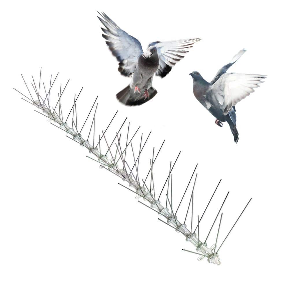 Original Stainless Steel Bird Spikes 100 ft. Pigeons Starlings Blackbirds Seagulls 6 in. Coverage - Hercitys