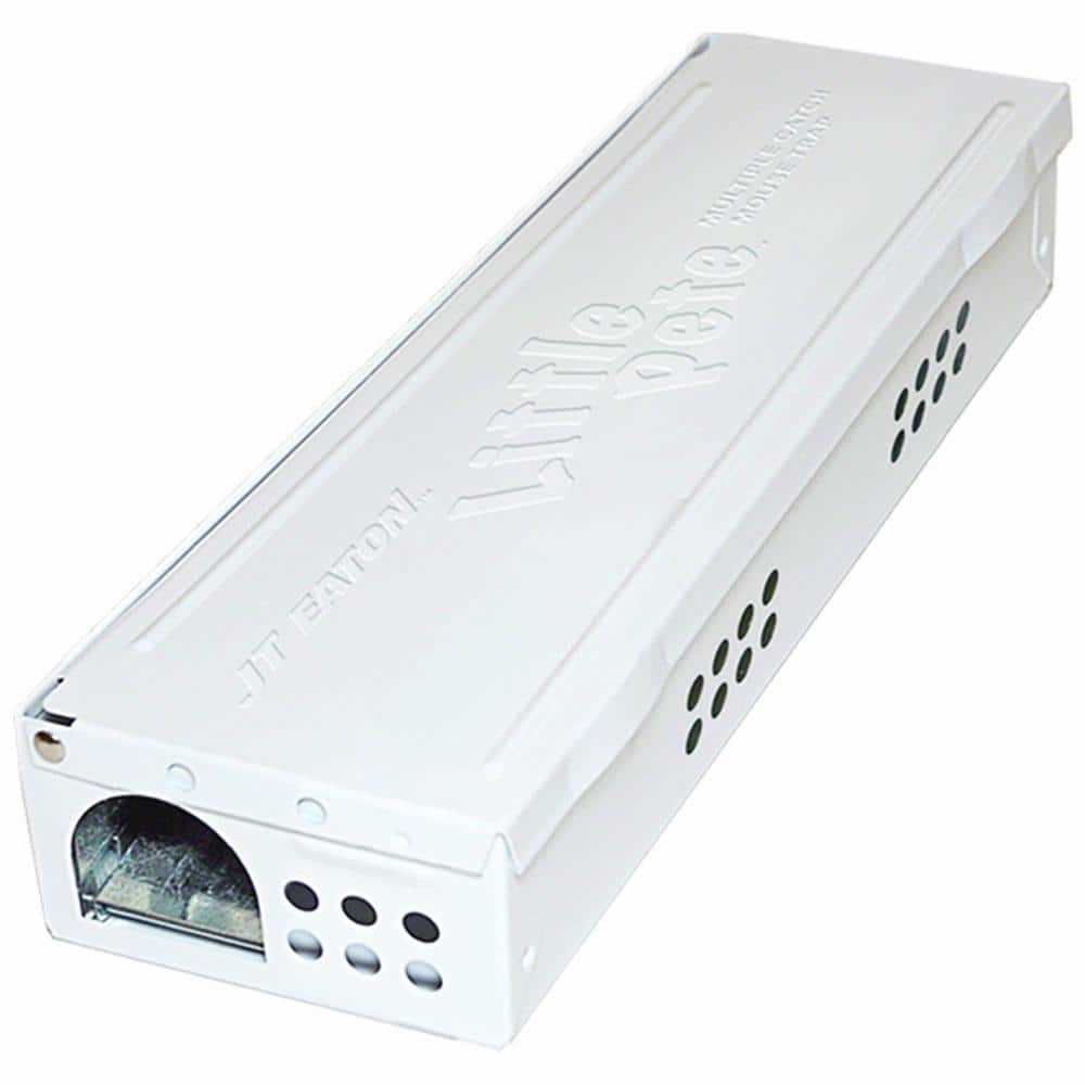 Little Pete Extra Narrow Multi Catch Mouse Trap with Solid Steel Lid in White Powder Coat Finish (12-Pack) - Hercitys