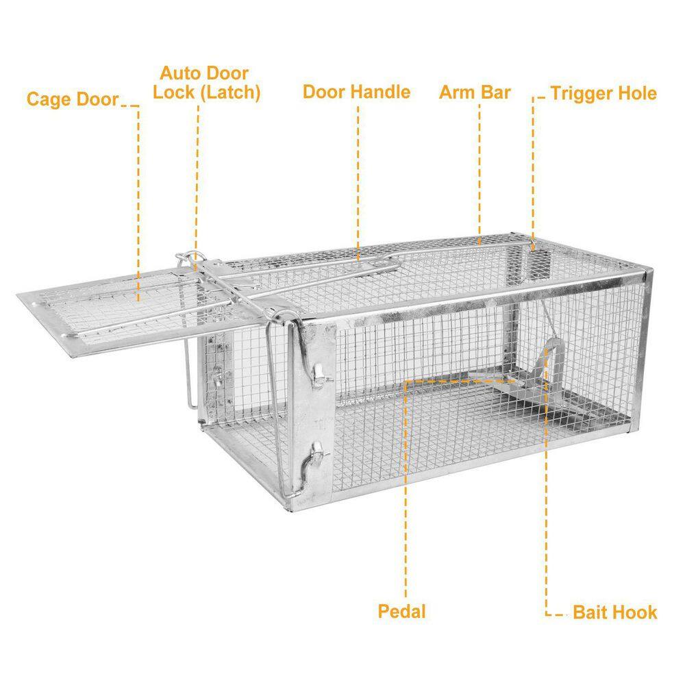 Rat Traps Humane Live Rodent Traps Cage Rats Control Bait Capture, (1-Package) - Hercitys