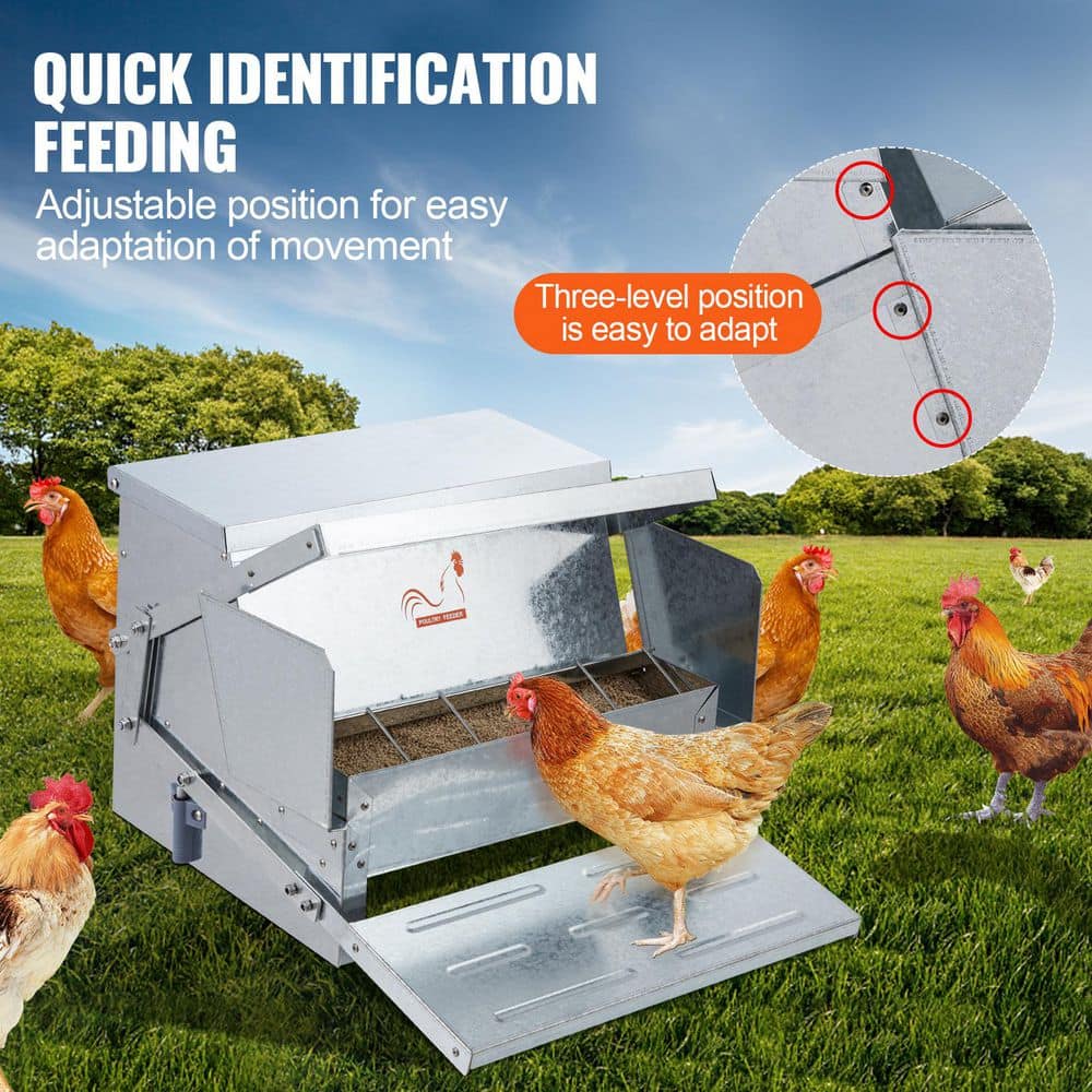Automatic Chicken Feeder, 25 lbs. Capacity, 18.89 in. x 15.94 in. x 11.22 in. Galvanized Steel Sliver Greenhouse - Hercitys