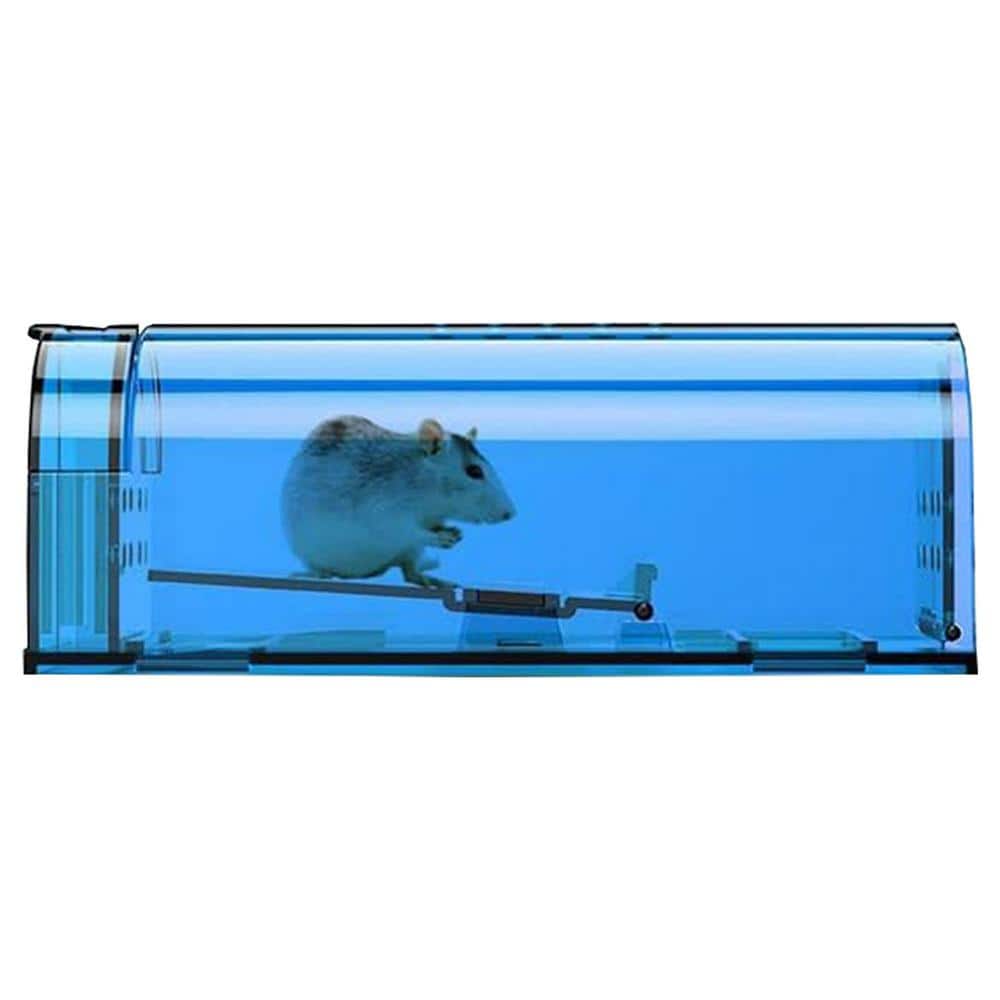 Indoor Humane Mouse Trap, Easy to Set, Quick Mouse Catcher Effective, Reusable and Safe for Families, Blue (2 Pack) - Hercitys