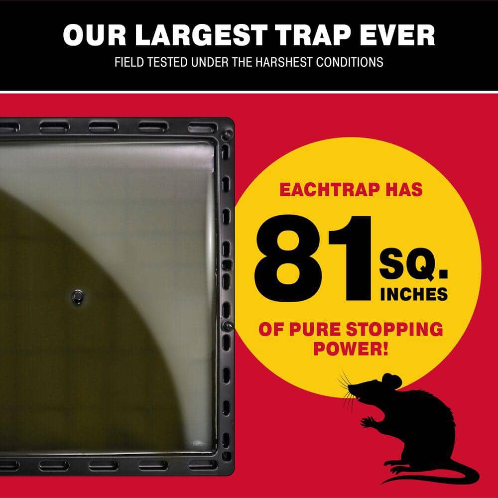 PRO Rat, Mouse and Insect Jumbo Glue Traps (8-Pack) - Hercitys