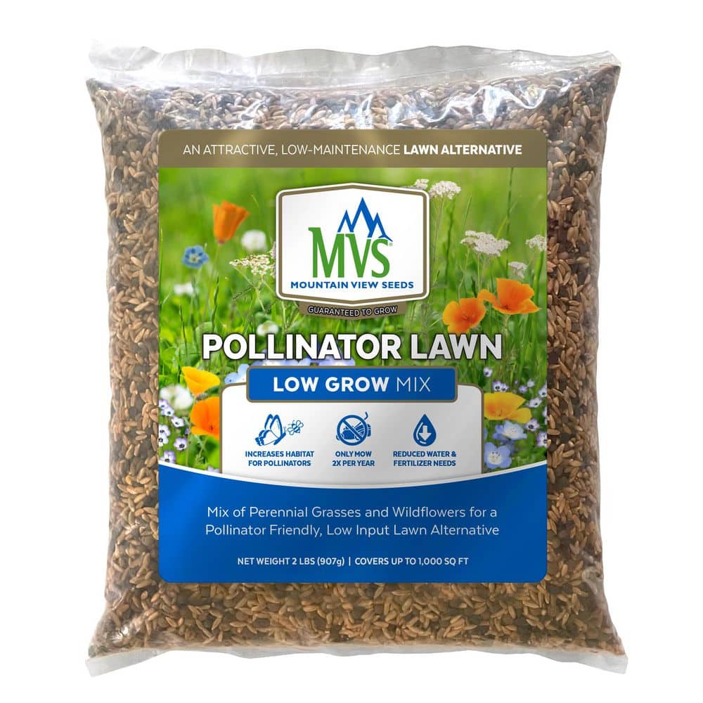 Pollinator Lawn Mix - Hercitys