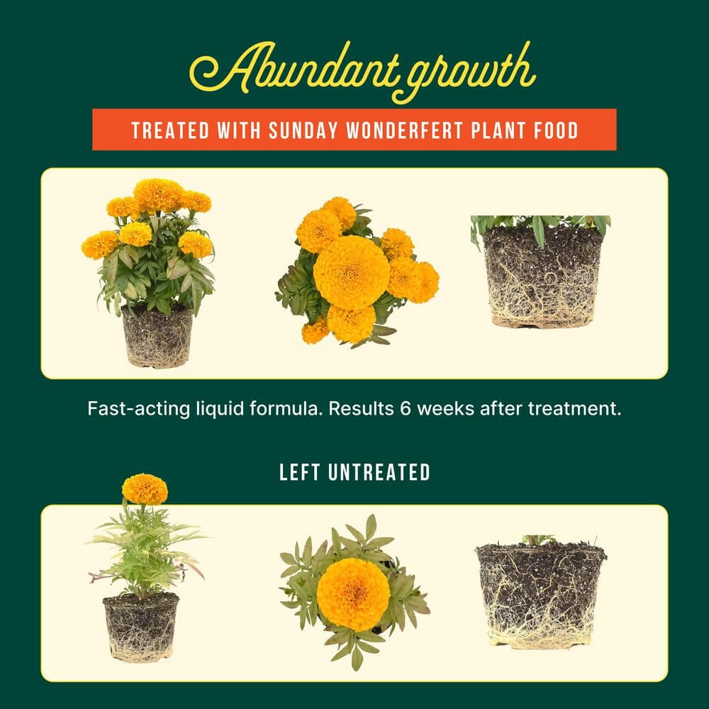 Gardening Kit, Wonder Fert All Purpose Liquid Plant Food and Flower and Rose Organic Plant Food, 900 sq. ft. 6 lb. - Hercitys