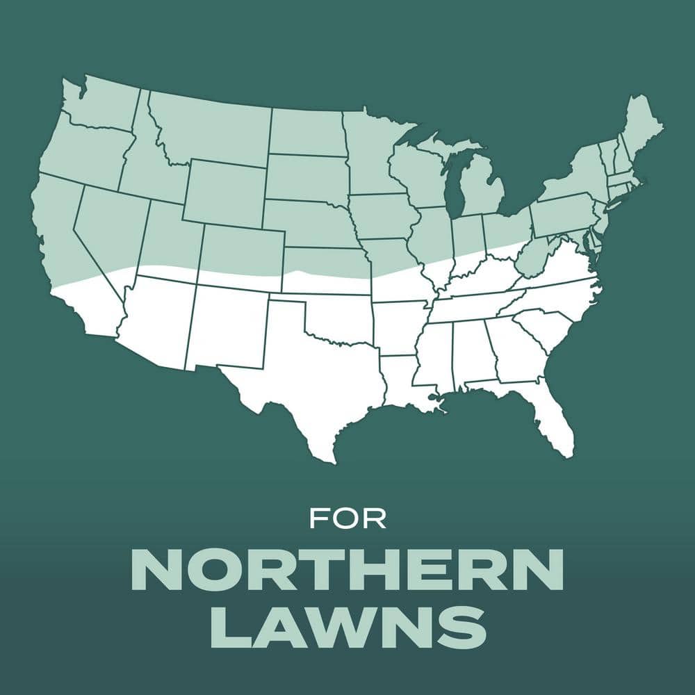 Turf Builder 2.4 lbs. Grass Seed Dense Shade Mix with Fertilizer and Soil Improver Grows With Little Sunlight - Hercitys