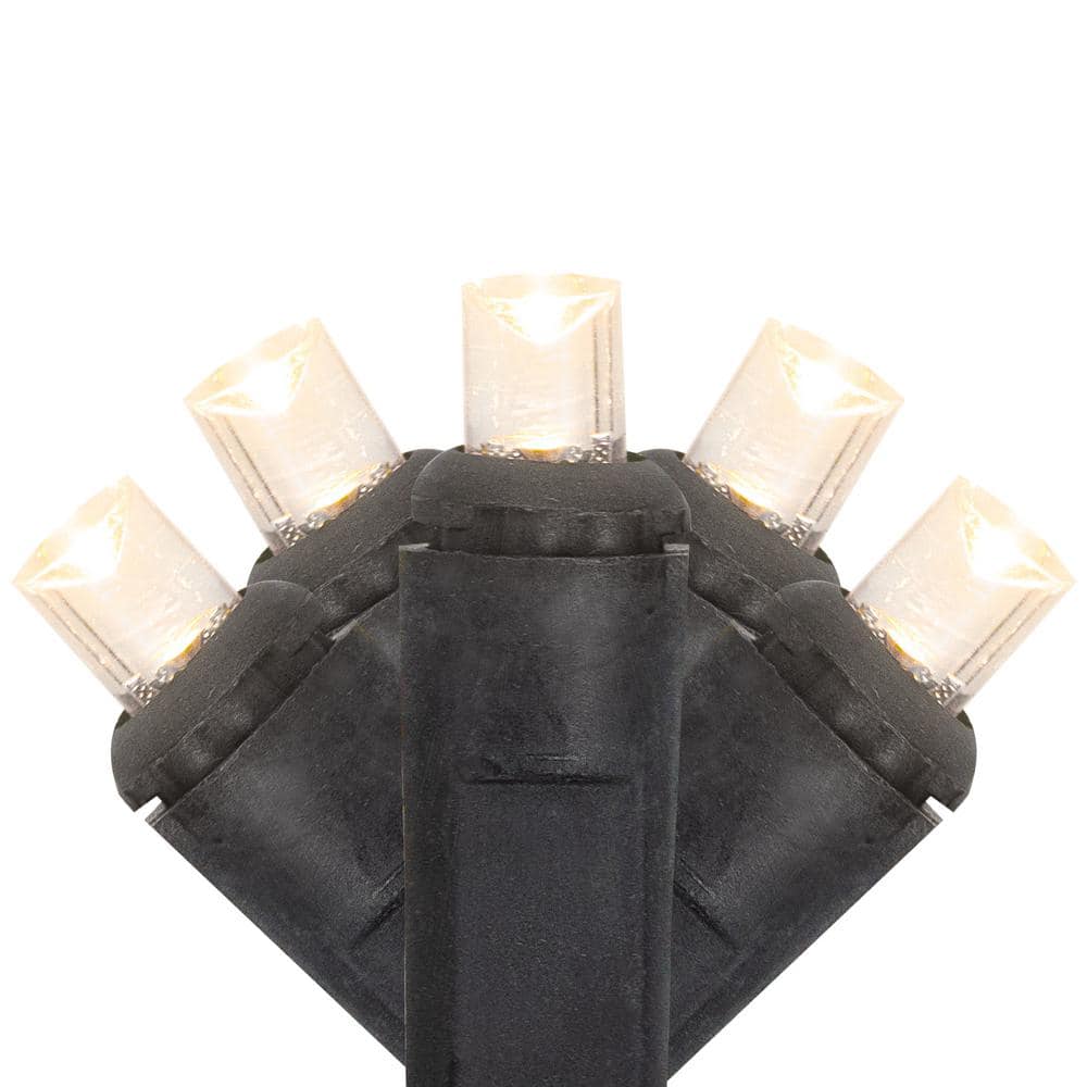 Set of 50 Warm White LED Wide Angle Christmas Lights – Black Wire - Hercitys