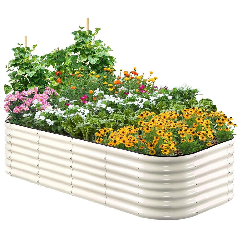 Oval Galvanized Raised Garden Bed Kit 72 in. L x 36 in. W x 24 in. H Rubber Strip Edging Beige Metal Planter Box - Hercitys