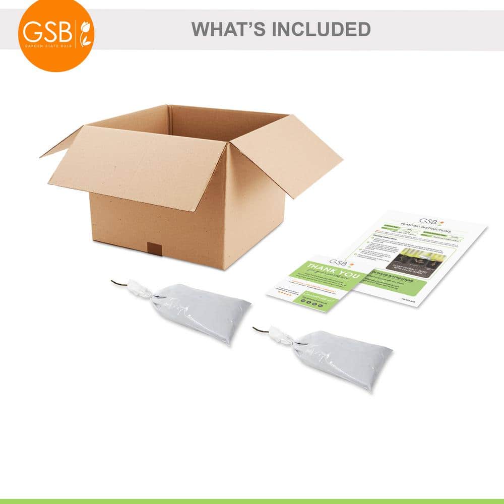 Hydrangea Nikko Blue, Live Bare Root Flowering Shrub (Bag of 2) - Hercitys