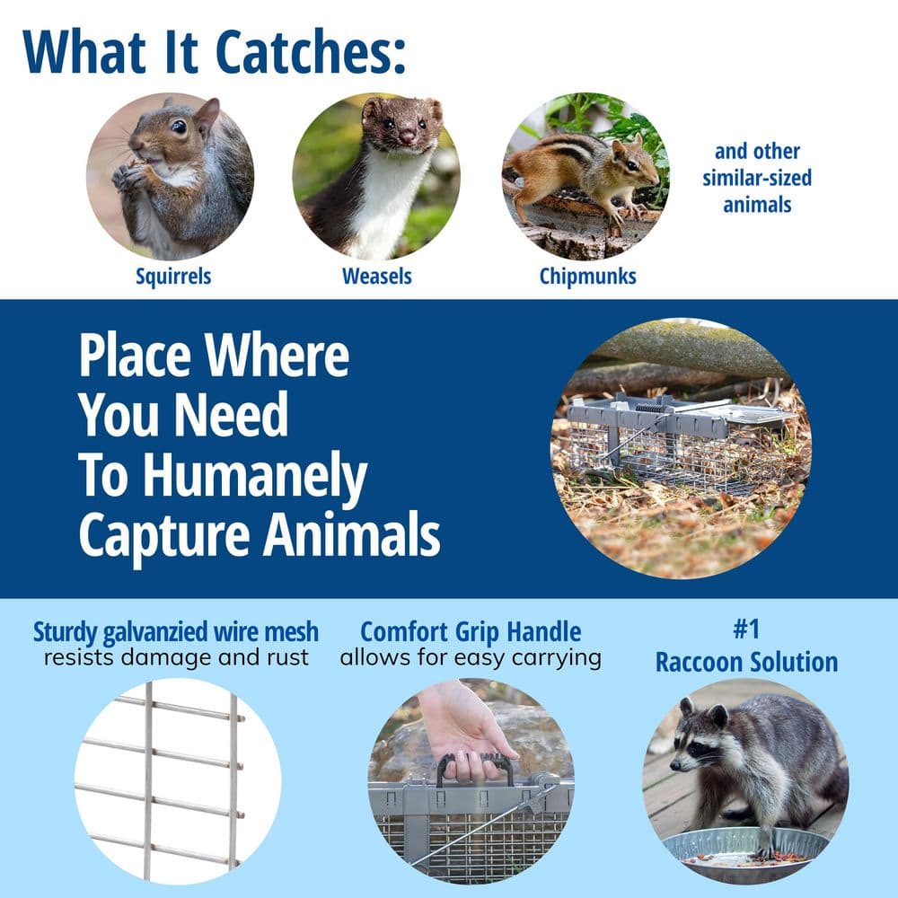 Small 1-Door Humane Catch-and-Release Live Animal Cage Trap for Squirrel, Weasel, Chipmunk - Hercitys