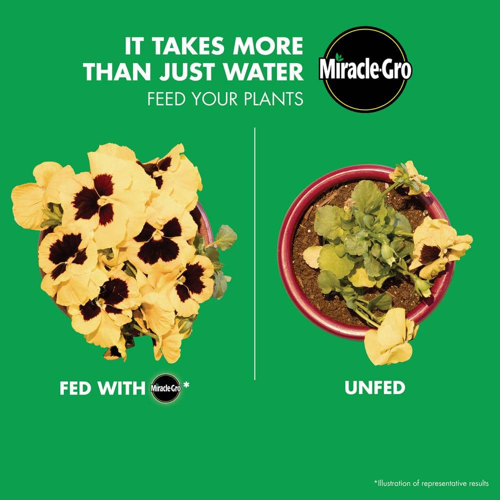 LiquaFeed 16 oz. Bloom-Booster Flower Food Refills (2-Pack) - Hercitys