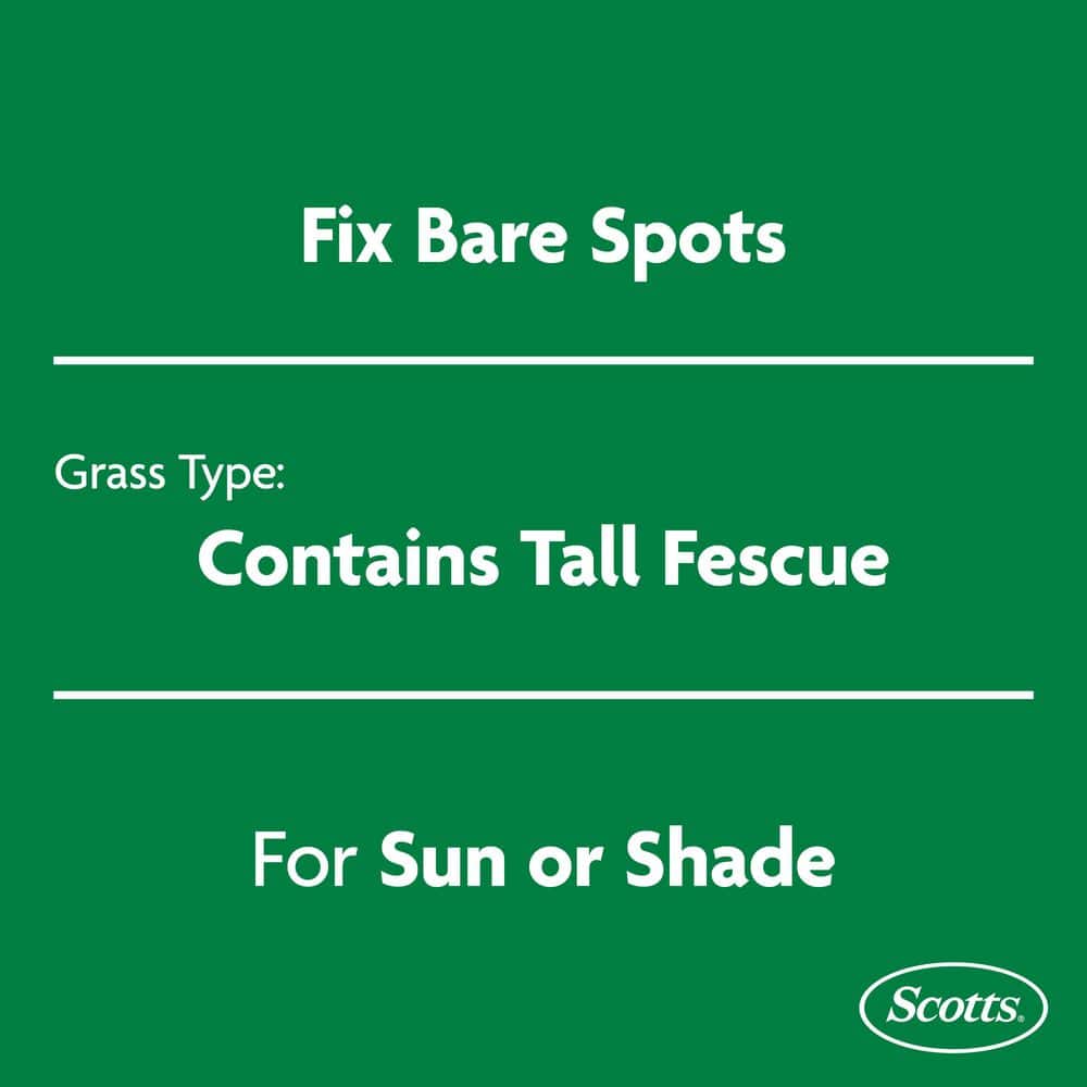 EZ Seed Patch and Repair Tall Fescue Lawns, 10 lbs., with Mulch, Grass Seed and Fertilizer - Hercitys