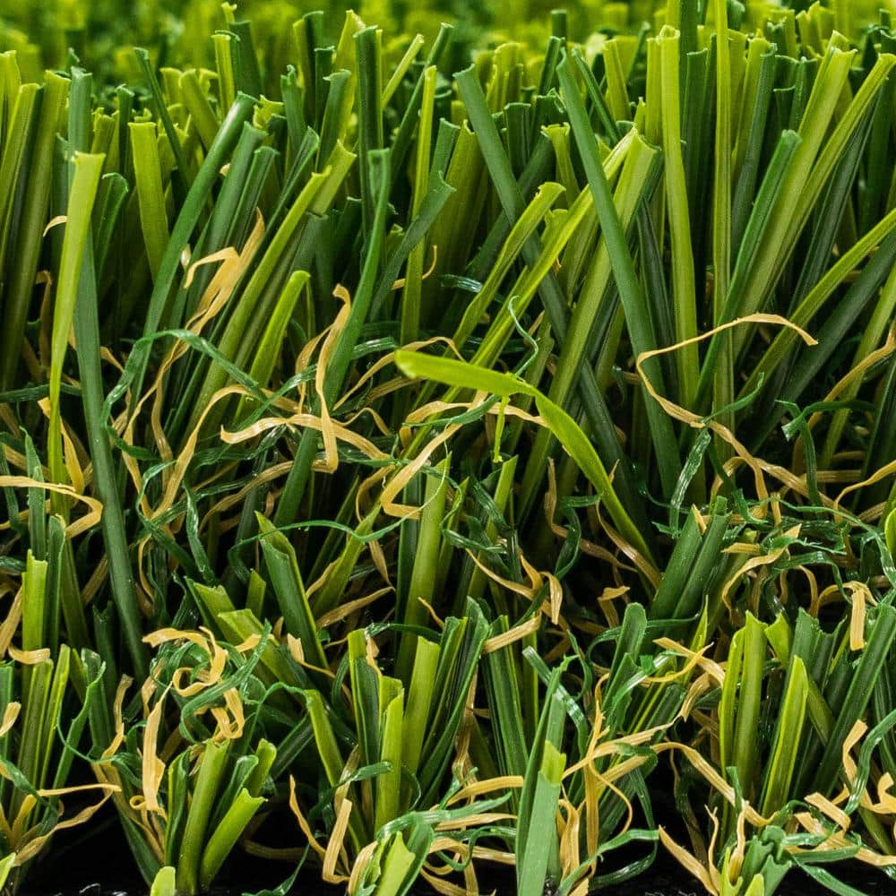 Santa Monica Fescue Pro 15 ft. W x Cut to Length Green Artificial Grass Turf - Hercitys