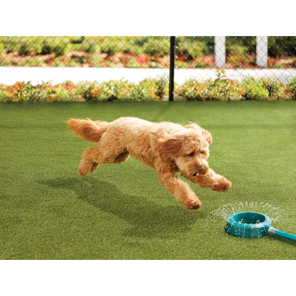 Premium Pet Turf 6 ft. x 7.5 ft. Green Artificial Grass Rug - Hercitys