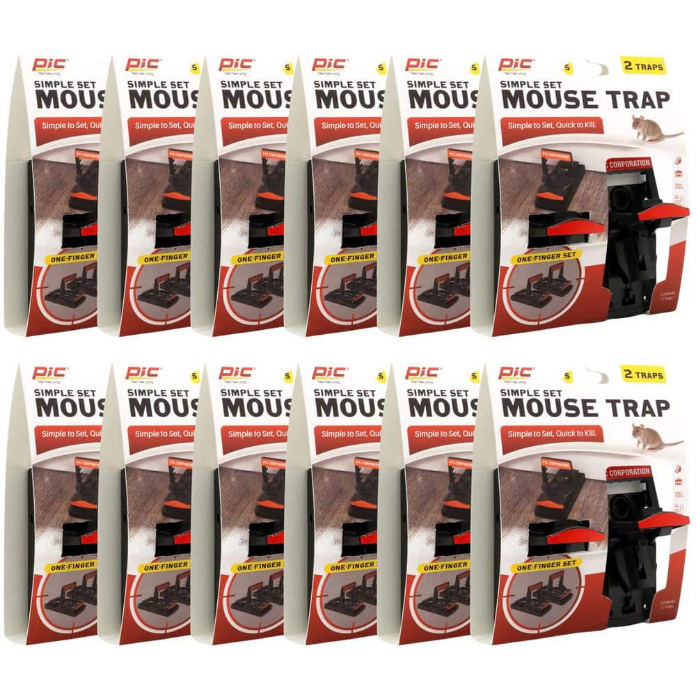 Simple Set Mouse Trap (12-Pack) - Hercitys